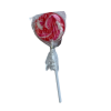 Ledentsy Lollipop story 60g_2