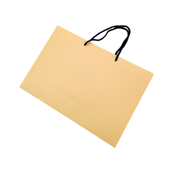 Paket SNAX SX-07 40x12x28sm
