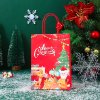 Paket podarochnyy Yokee Novyy god Y-05 27*21sm_2
