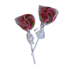 Ledentsy Lollipop story 60g