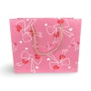 Paket podarochnyy Snax 038L 30x25x11.5_3