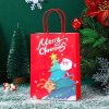 Paket podarochnyy Yokee Novyy god Y-03 27*21sm_2