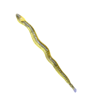 Жидкая конфета Snake 70г